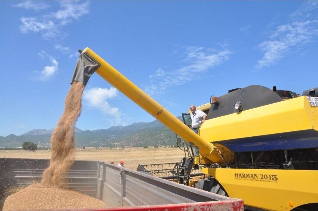 G&uuml;neydoğu&rsquo;da Buğday Hasadındaki Y&uuml;ksek Rekolte &Uuml;reticinin Y&uuml;z&uuml;n&uuml; G&uuml;ld&uuml;rd&uuml;