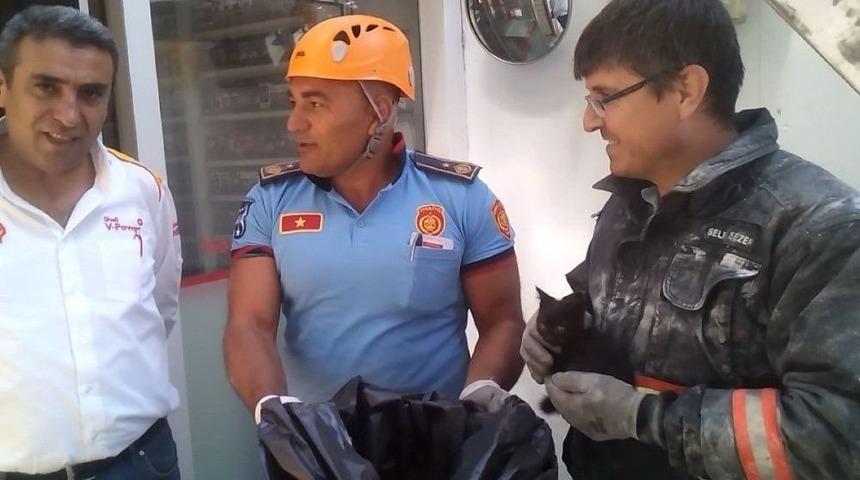 Başkent&rsquo;te Kedi Kurtarma Operasyonu