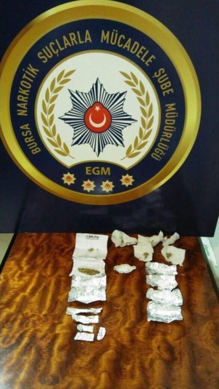 Vites Kutusundan Bonzai Çıktı G4