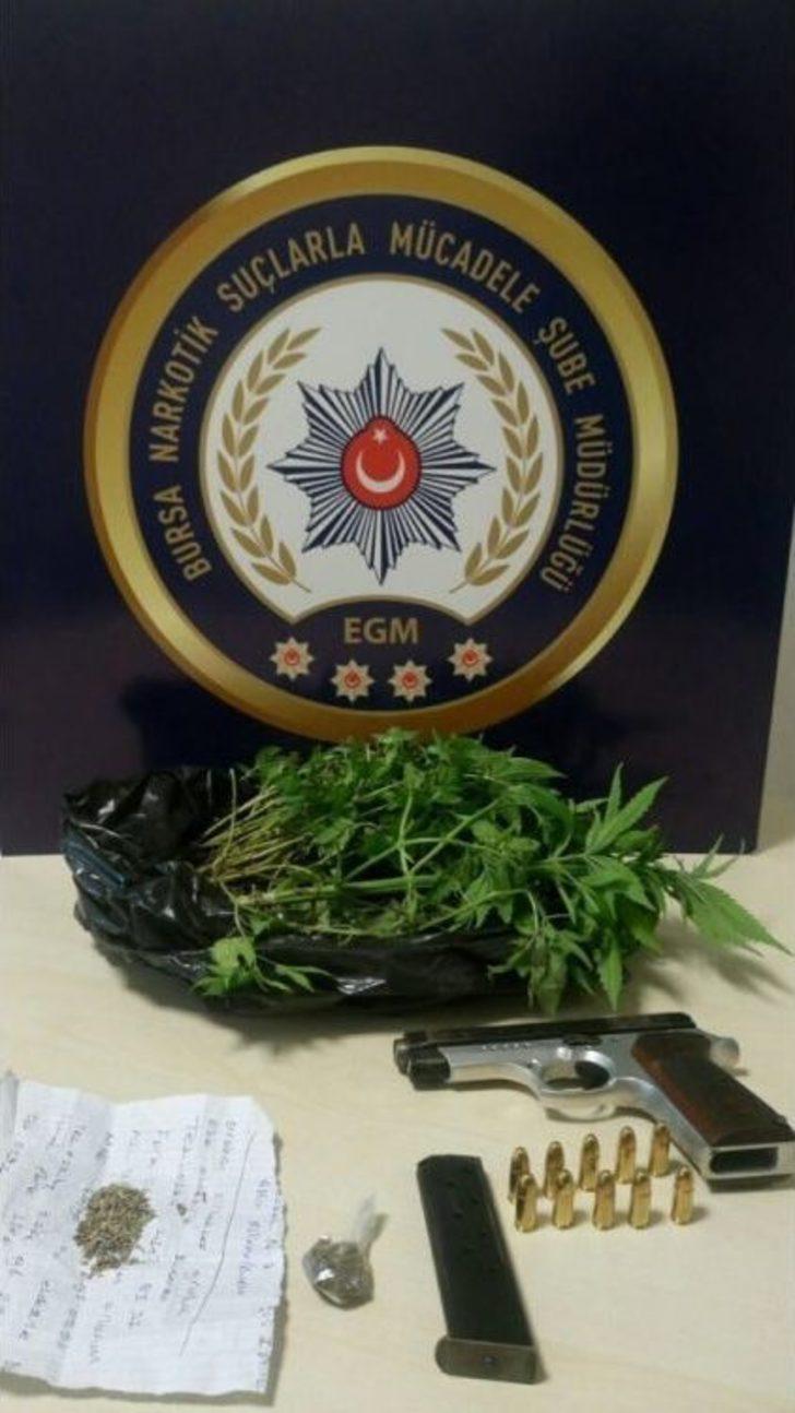 Vites Kutusundan Bonzai Çıktı G5