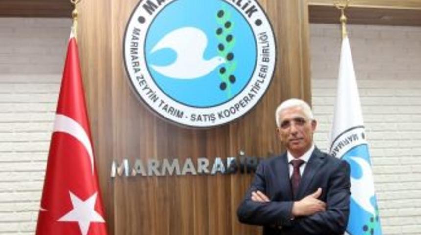 Marmarabirlik&rsquo;ten "zeytinlik" &Ccedil;ağrısı