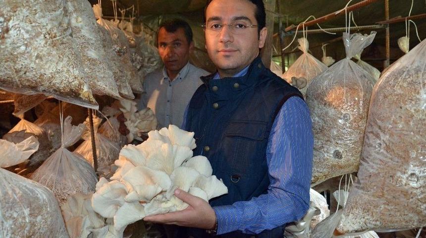 Kaymakam &Ouml;zerden, Mantar &Uuml;retim Tesisini Ziyaret Etti