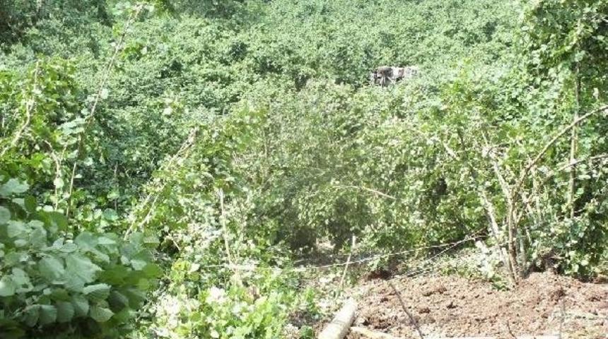 Kontrolden &Ccedil;ıkan Kamyon U&ccedil;uruma Yuvarlandı: 1 Yaralı