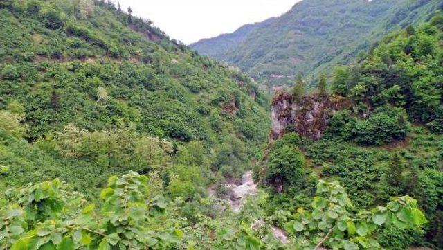 Olumsuz Hava Koşulları Akasya Balını Vurdu