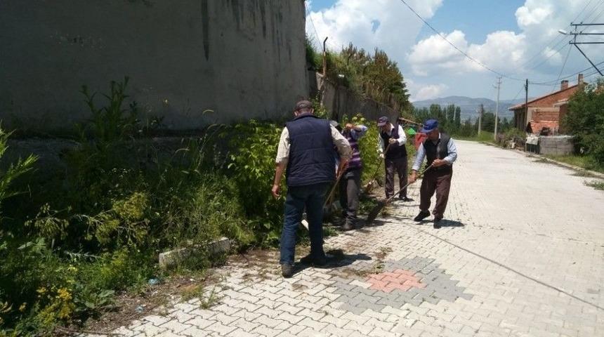 Hisarcık Belediyesinden Yabani Ot Temizliği