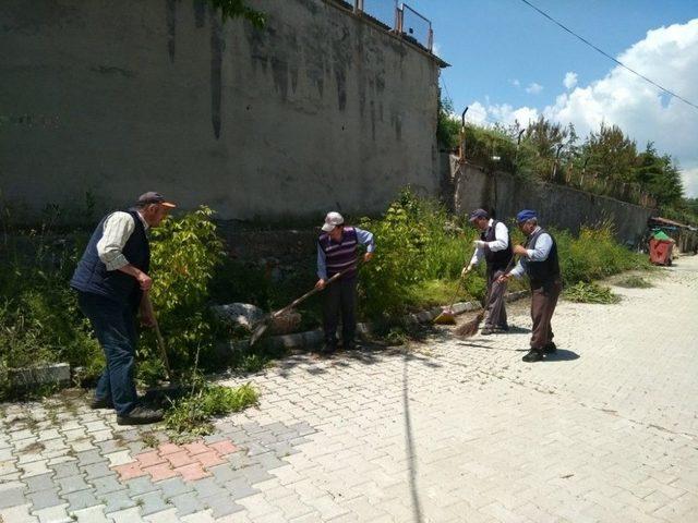 Hisarcık Belediyesinden Yabani Ot Temizliği