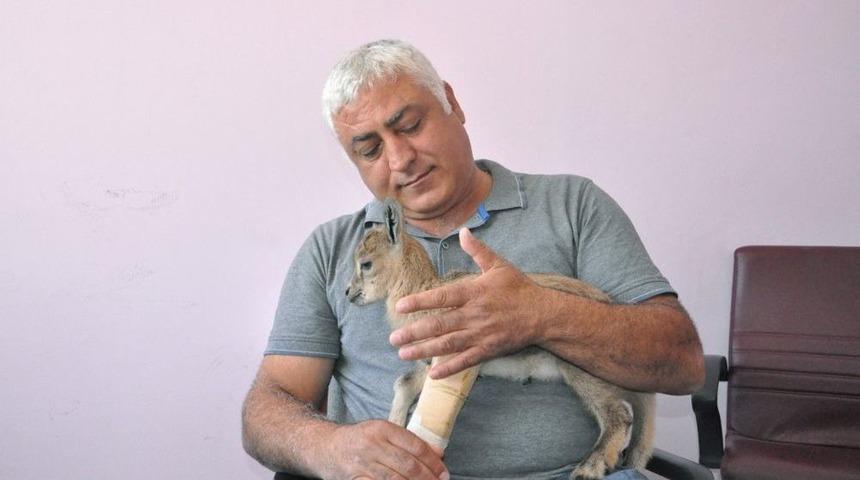 &rsquo;nazlıcan&rsquo; Kurumun Maskotu Oldu