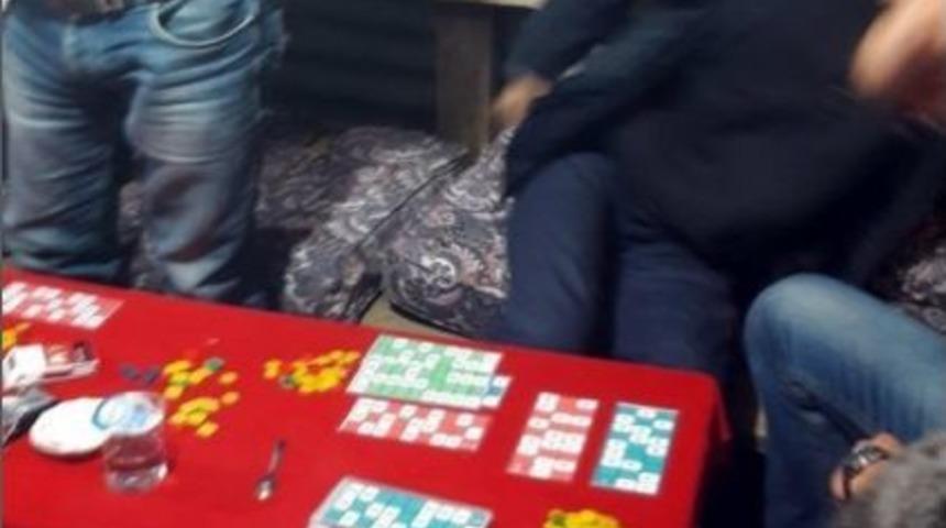 Karasu&rsquo;da Jandarmadan Kumar Operasyonu