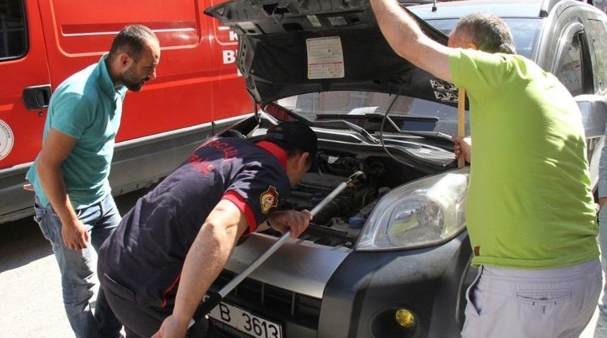 (&ouml;zel Haber) Motora Giren Kedi, Su D&ouml;k&uuml;lerek &Ccedil;ıkartıldı