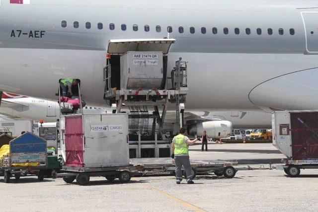 Katar’a Gıda Sevkıyatı Sürüyor