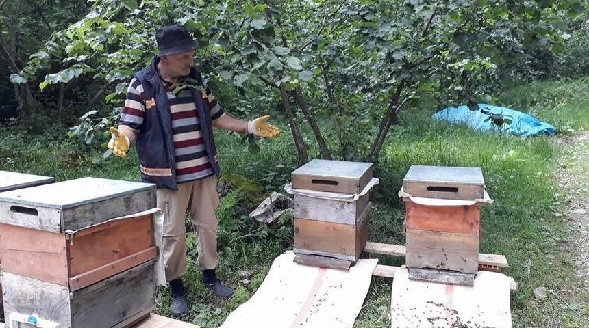 Elevli "havalar Bir A&ccedil;ıp Bir Kapanınca Arılar Strese Girdi; Tek Tek &Ouml;l&uuml;yorlar"