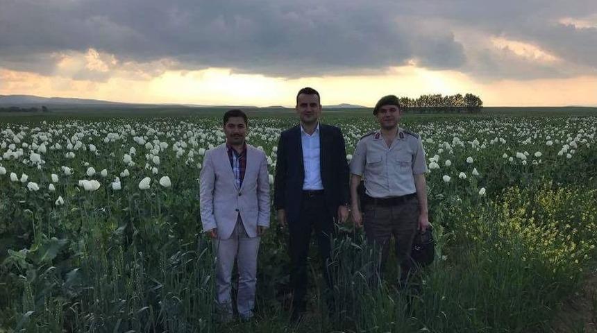 Haşhaş &Uuml;retiminde Artış Bekleniyor