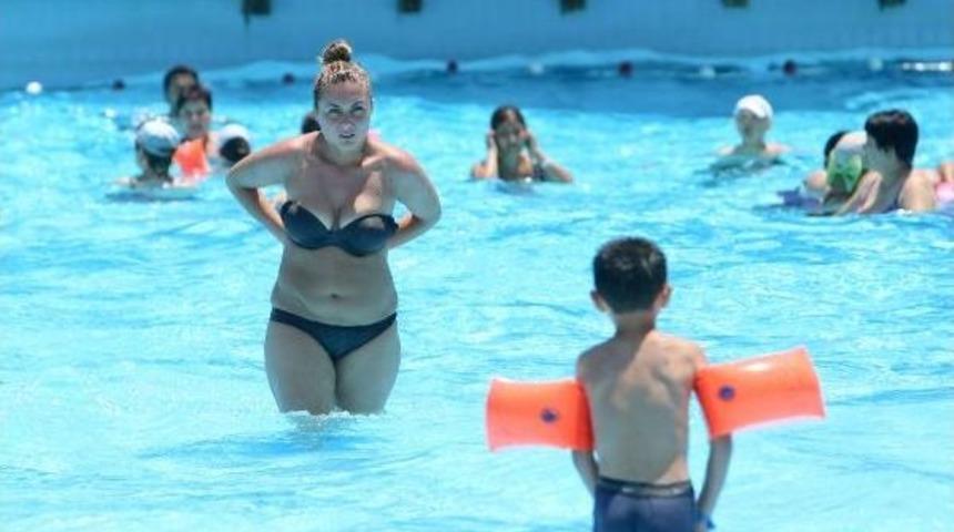Sıcaktan Bunalan Havuza Koştu