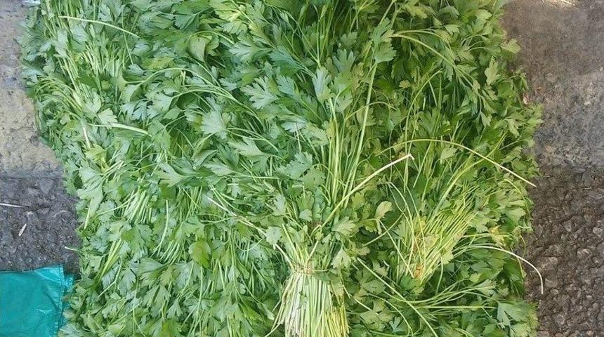 Memleket Kokan Organik Tarım &Uuml;r&uuml;nleri Tezgahlarda