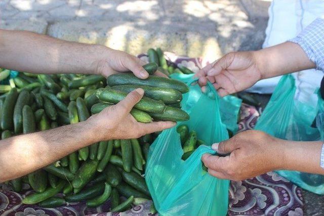 Memleket Kokan Organik Tarım &Uuml;r&uuml;nleri Tezgahlarda 1