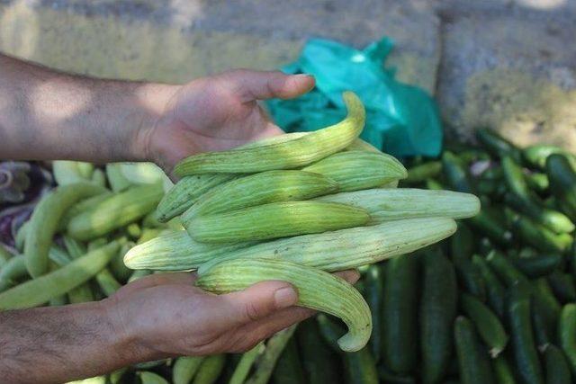 Memleket Kokan Organik Tarım &Uuml;r&uuml;nleri Tezgahlarda 2