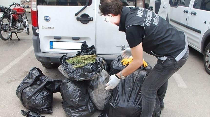 Mersin&rsquo;de 74.5 Kilo Esrar Ele Ge&ccedil;irildi