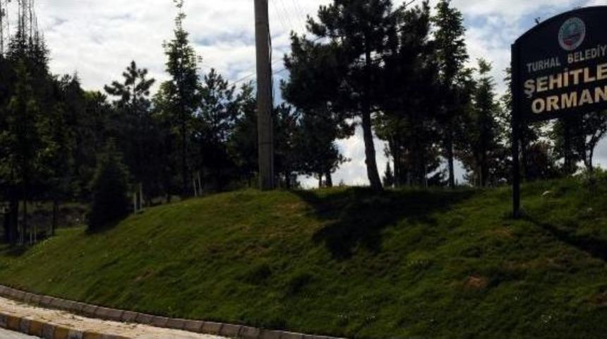 Şehitlerin Adları Ağaçlarda Yaşayacak