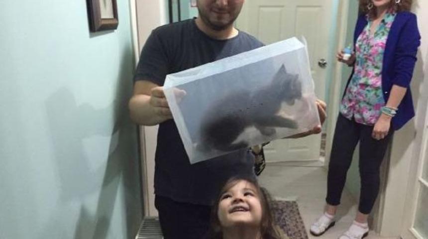 Havalandırma Boşluğuna D&uuml;şen Kedi Duvar Kırılarak Kurtarıldı