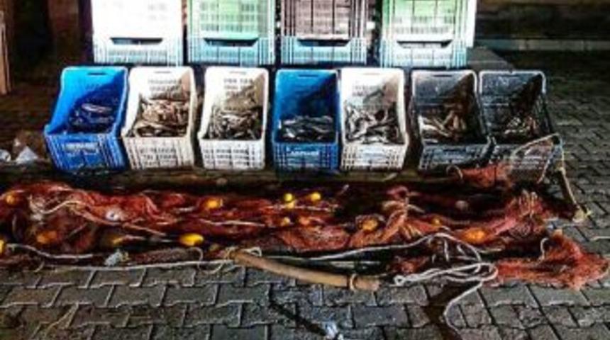 Ahla'ta Ka&ccedil;ak Avlanan 100 Kilo Inci Kefaline El Konuldu