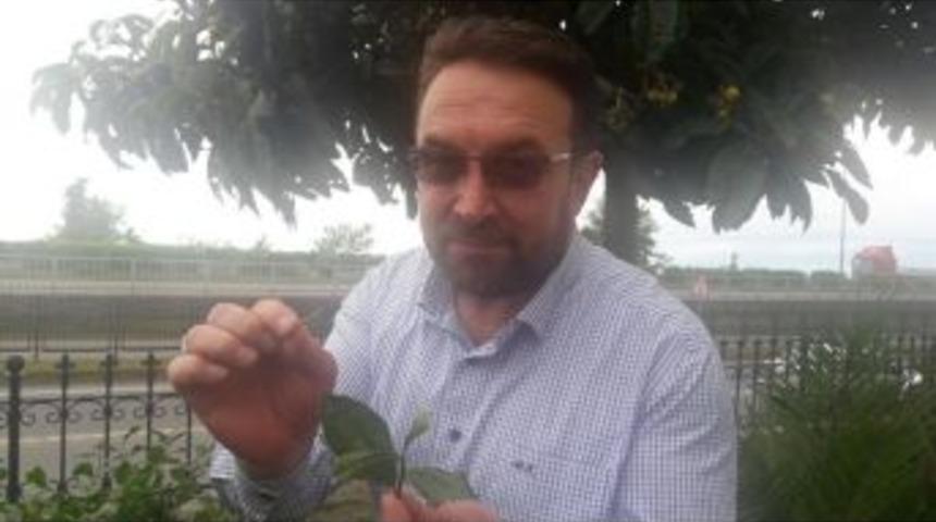 Rtb Başkanı Erdoğan, 1. S&uuml;rg&uuml;n Yaş &Ccedil;ay Alım Kampanyasını Değerlendirdi