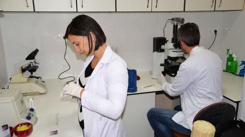 Doktora Öğrencilerine Maaş Gibi Burs