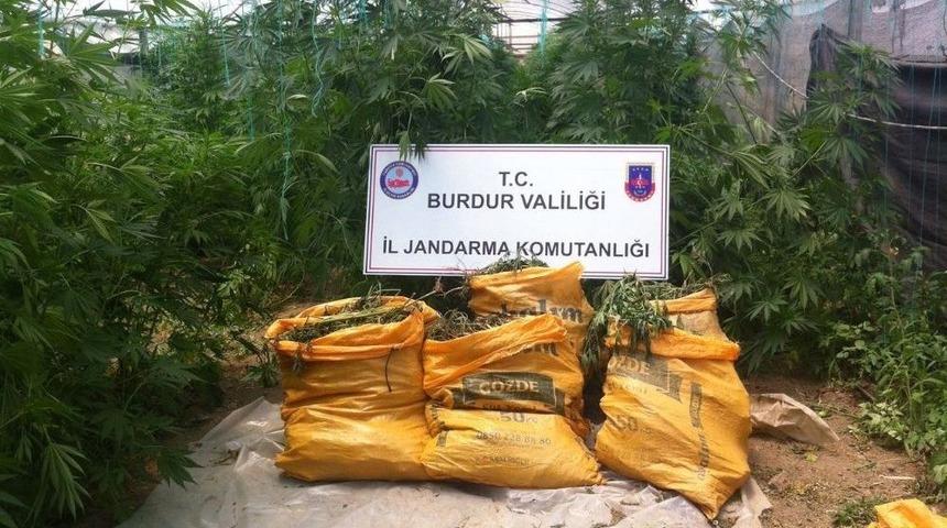 Seradan Esrar Ve Kenevir &Ccedil;ıktı