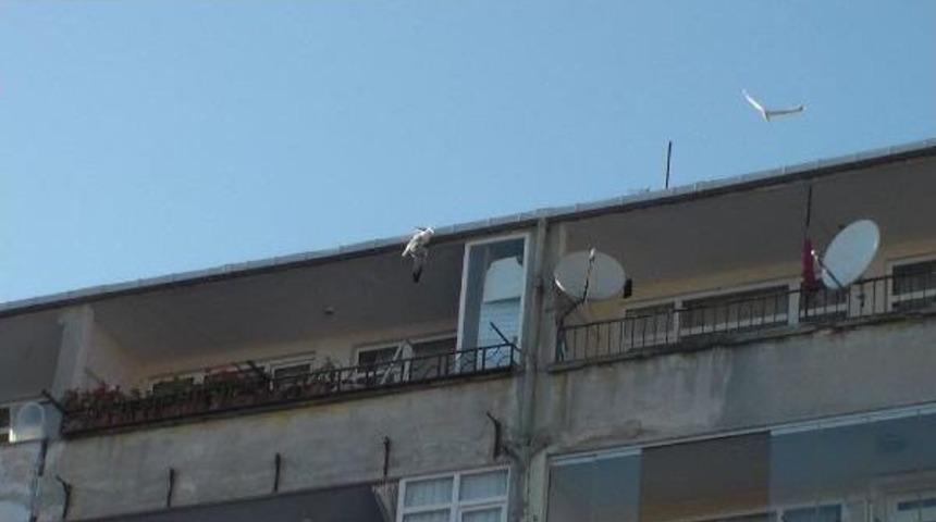 İtfaiyeden Martı Kurtarma Operasyonu