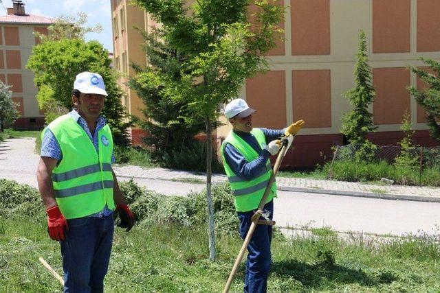 Edremit&rsquo;te Parklar Yenileniyor 1