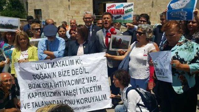 Tbmm'de Zeytinli Protesto