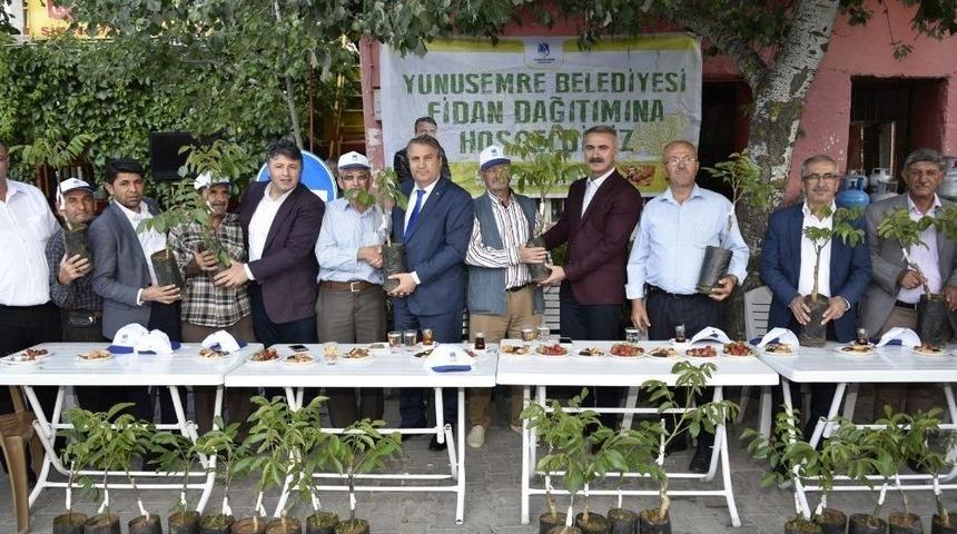 Yunusemre&rsquo;den &Uuml;reticilere Ceviz Fidanı