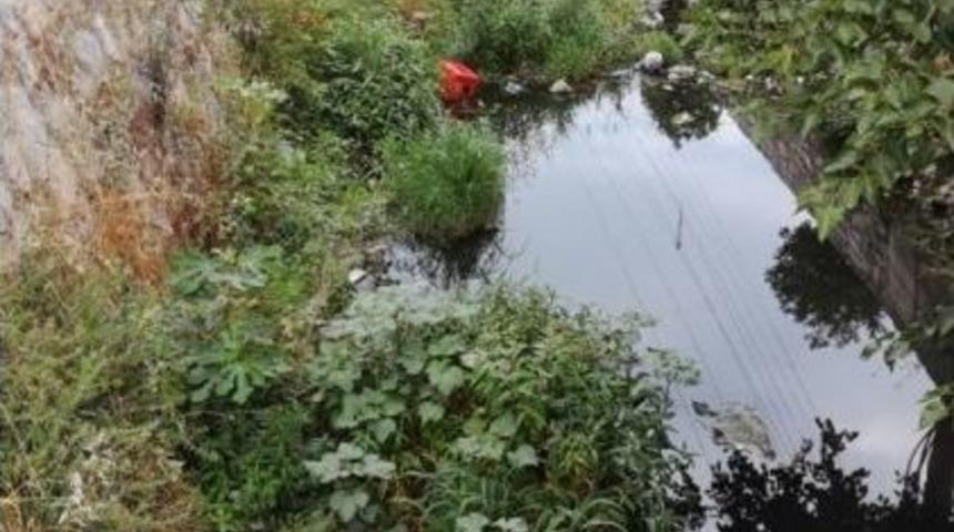 G&uuml;ll&uuml;k&rsquo;te Sivrisinek Ve Haşereyle M&uuml;cadele