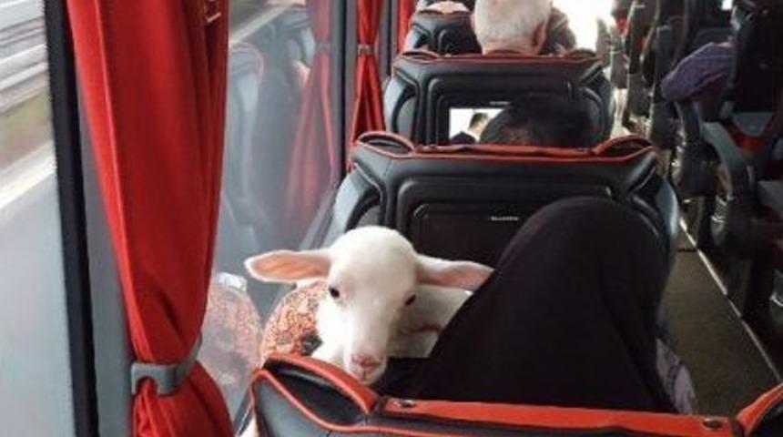 &lsquo;#şehrinhayatı&rsquo; Fotoğraf Yarışmasının Kazananları Belli Oldu