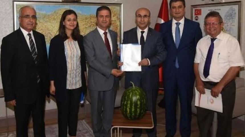 'adana Karpuzu' Markalaşıyor