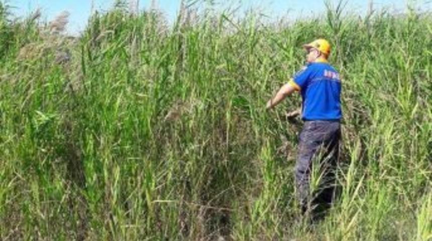 Plajda Kaybolan K&uuml;&ccedil;&uuml;k Mehmet&rsquo;i Arama &Ccedil;alışmaları Devam Ediyor