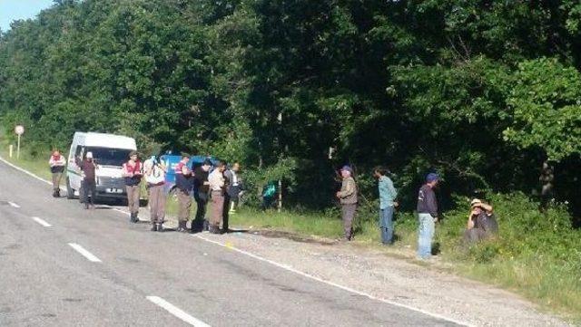 Ağaçlara Çarpan Kamyonun Şoförü Ölü