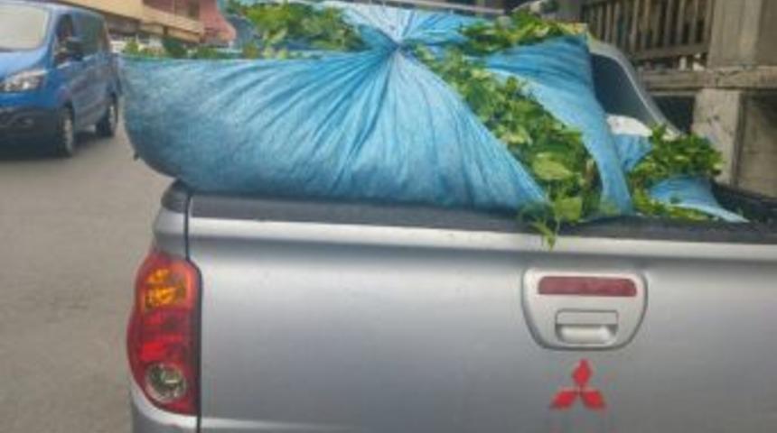 &Ccedil;amlıhemşin&rsquo;de &Ccedil;ay Hırsızlığı