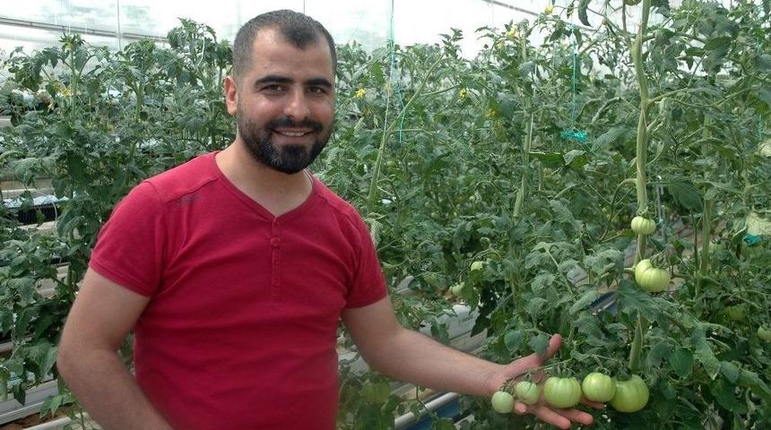 Vanlı Domates &Uuml;reticisi Eğitim Serası Kurdu