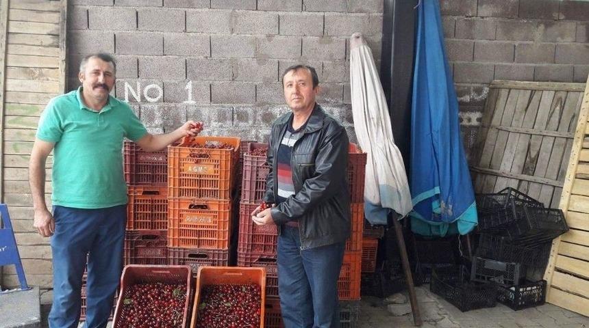 Şaphane&rsquo;de Kiraz Satışları Başladı