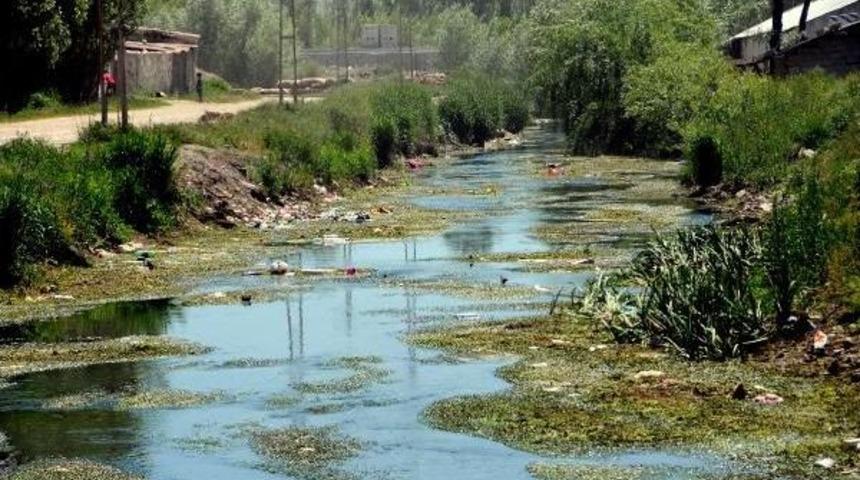 Derelere Atılan &Ccedil;&ouml;pler Van G&ouml;l&uuml;'n&uuml; Kirletiyor