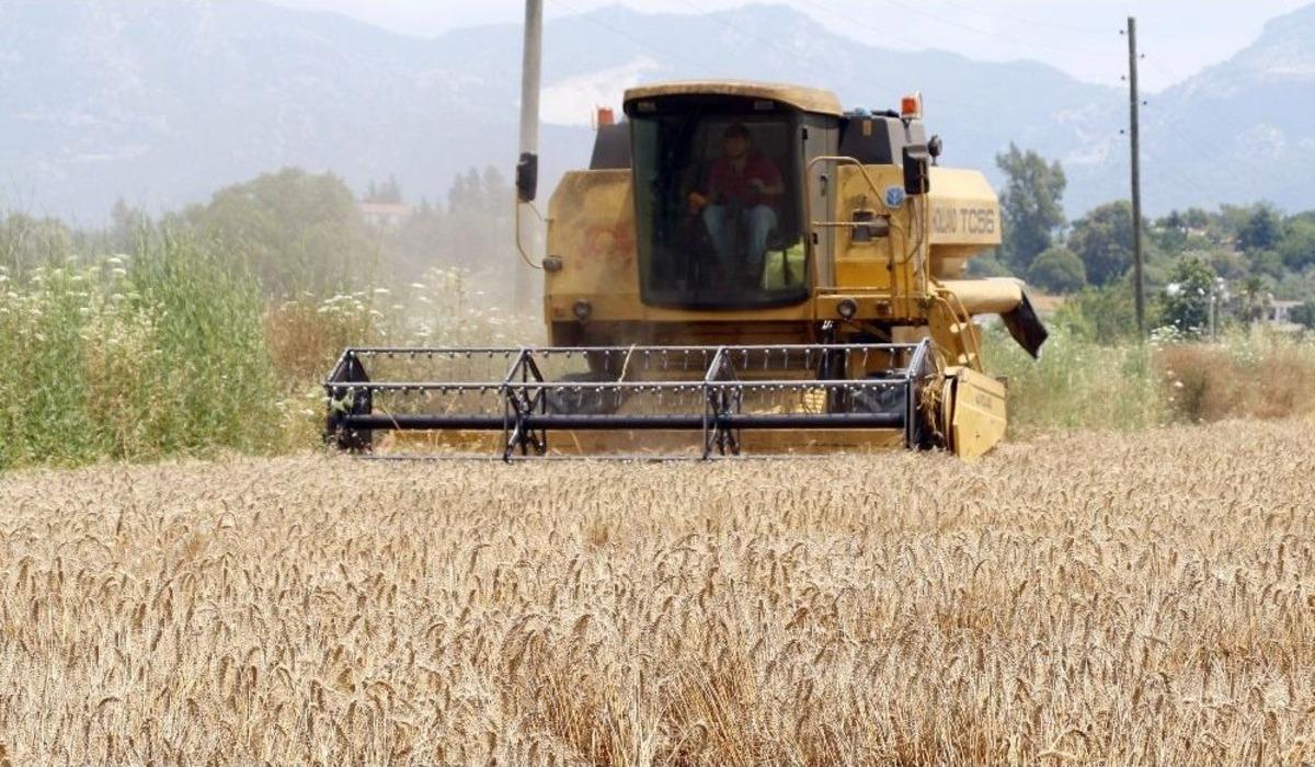 Buğday &Uuml;reticisinin İmdadına Antbirlik Yetişti