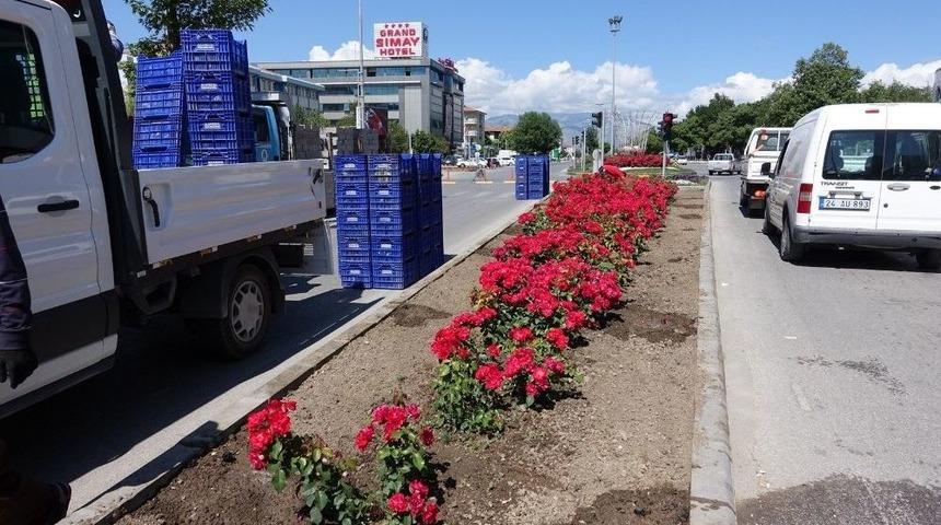 Yeşil Alan &Ccedil;alışmaları Devam Ediyor