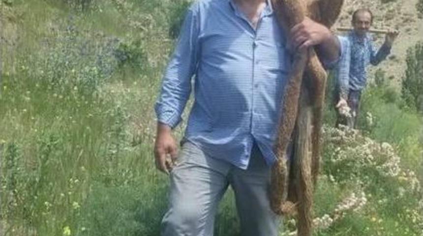 İçme Suyu Borusunun İçinden 13 Metre Söğüt Ağacı Kökü Çıktı