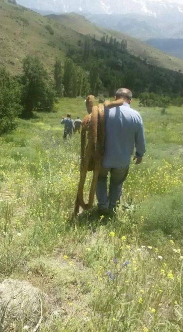 İçme Suyu Borusunun İçinden 13 Metre Söğüt Ağacı Kökü Çıktı