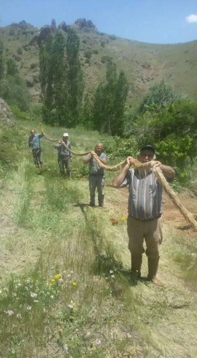 İçme Suyu Borusunun İçinden 13 Metre Söğüt Ağacı Kökü Çıktı