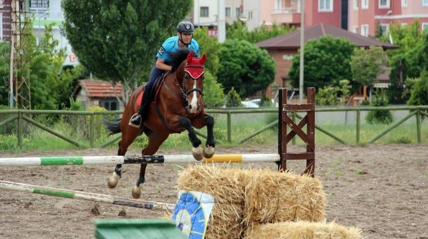 Jandarmanın G&ouml;z Bebeği Eğitimli At Ve K&ouml;peklerin G&ouml;sterisi B&uuml;y&uuml;ledi