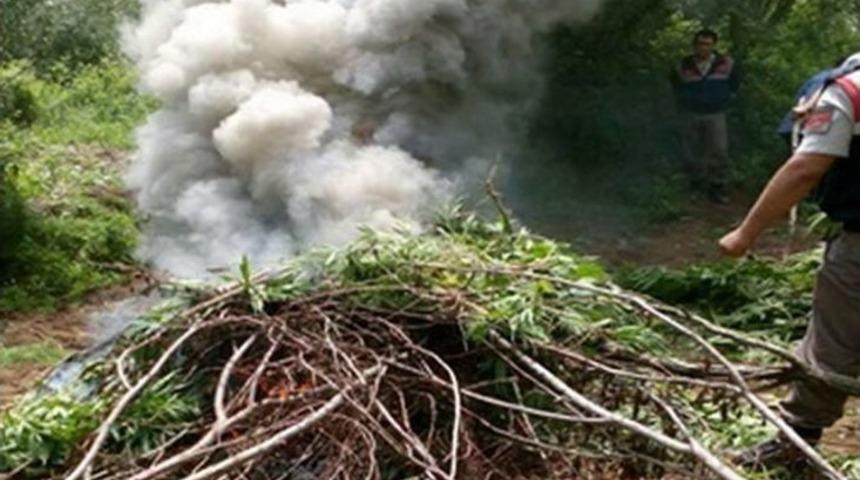 Uyuşturucu Tacirlerinin Planı Jandarmaya Takıldı