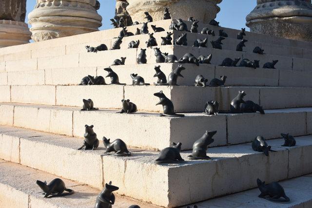 'Apollon Smintheus Tapınağı'nda ziyaretçileri fareler karşılıyor