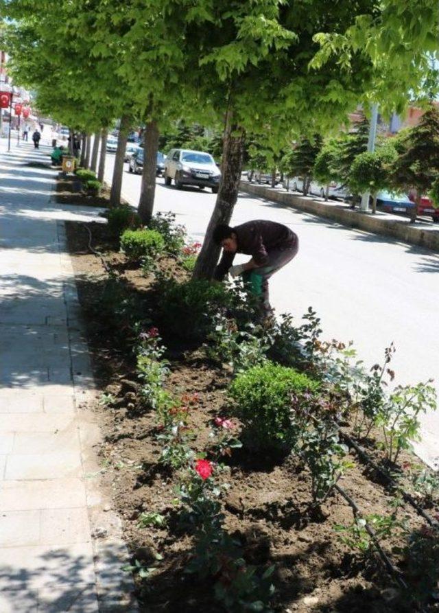 Yozgat&rsquo;ta Caddeler G&uuml;zelleşiyor 1