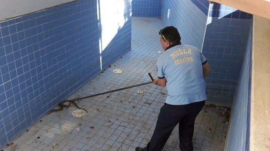 B&uuml;y&uuml;kşehir İtfaiyesinden Yılan Operasyonu